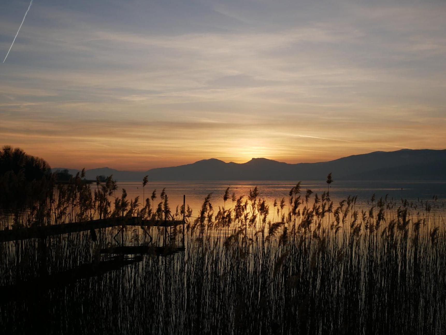 Kusmi Love Piscine Proche Du Lac Annecy Zewnętrze zdjęcie